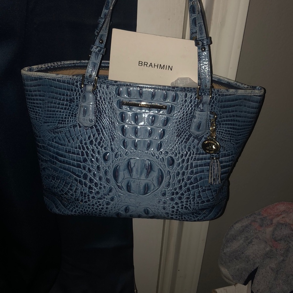 Brahmin Purse